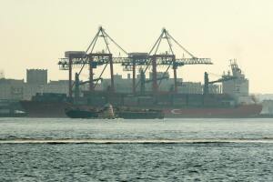 Red Hook terminal Brooklyn