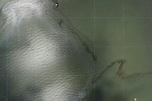 Hurricane Ida Environmental Hazards