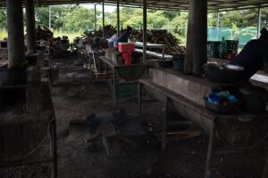Refugiados nicaraguenses en Costa Rica