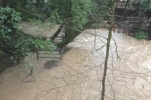 Fuertes lluvias en el norte de California provocan inundaciones en el Área de la Bahía