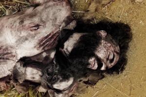 milagros-jesus-16.jpg