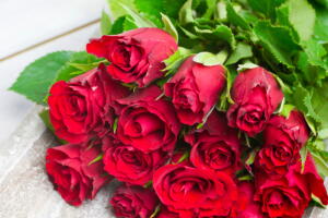 rosas-vermelhas.jpg