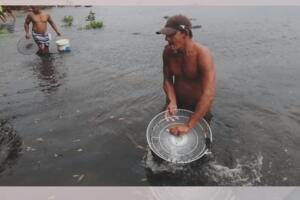 Peces Cuba/Peces2Cuba1.jpg
