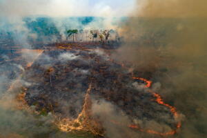 Climate Latin America El Nino