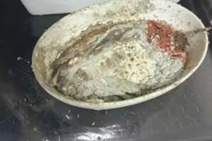 Denuncia Comida LAX.jpg