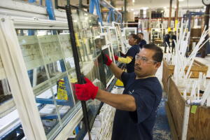 salud obamacare empleo