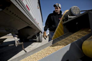 Los productores de soya del medio oeste de EEUU están entre los más afectados por los aranceles impuestos en represalia por China, su mayor mercado.
