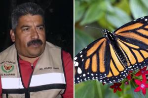 homero_guardian_monarcas.jpg