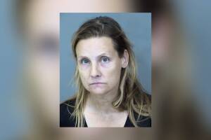 Rescatan 55 perros de supuesto refugio; había cinco cachorros muertos en un congelador