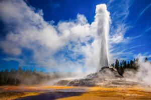 Yellowstone 