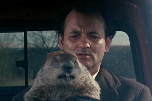 el-dia-de-la-marmota-bill-murray.jpg
