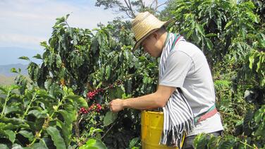 Bringing A Taste of Colombia to New York City: Q&A with the Founder of Cano Coffee 