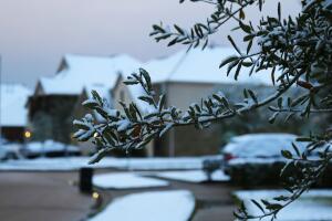 Nieve en Houston