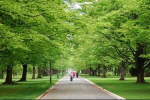 queens park 2.JPG