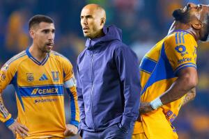 Tigres