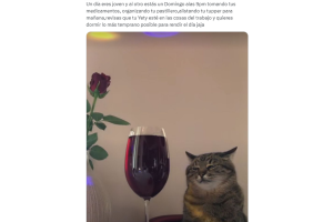 meme-un-dia-eres-joven-al-otro (6).png