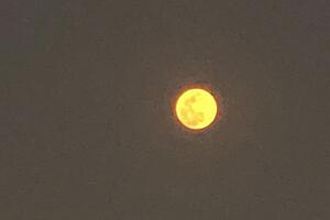 LUNA/SUPERLUNAHOUSTON4.jpg