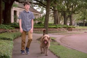 think like a dog pelicula.jpg