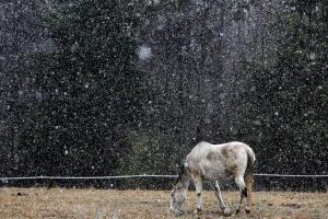 Winter Weather Deep South