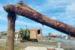 Image from iOS (3).jpg