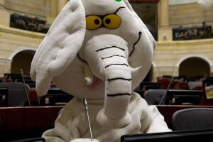 WhatsApp Image 2026-03-30 at 17.18.08.jpeg