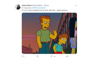 Perrito ayuda a estacionar carros reacciones