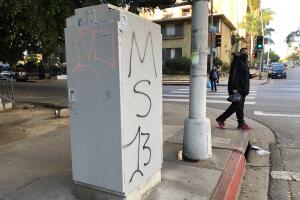 Mara Salvatrucha MS-13 Los Ángeles