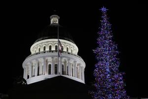 Capitol Christmas Tree