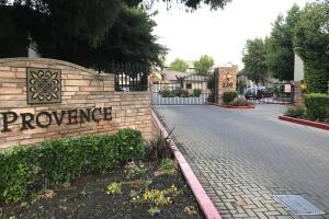 Provence shooting.jpg