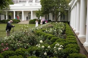 Rose Garden