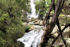 lewis creek.jpg