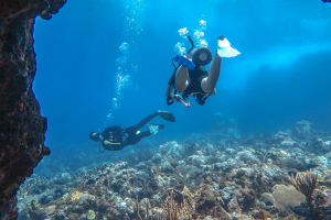 Buceo en La Parguera, Puerto Rico