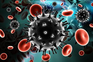 virus-hiv.jpg