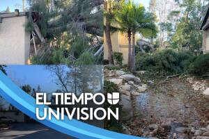 El Tiempo: Vientos