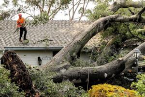 Alerta de vientos en Los Ángeles: ráfagas de hasta 60 mph y posibles cortes de electricidad