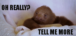 perezoso-tell-me-more.gif