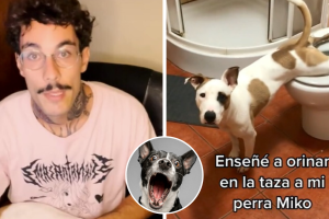 perrito_tiktok_aprende_a_orinar_en_el_baño