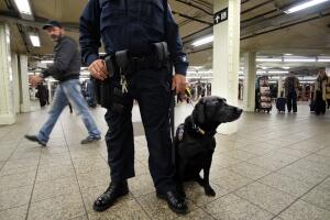 NYPD refuerza seguridad en el subway de NY