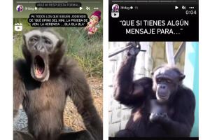 Frida Sofía opina de Luis Enrique Guzmán