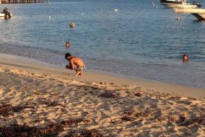 Vieques, Puerto Rico