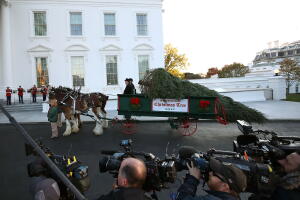 Melania Trump, árbol de navidad llega a la casa blanca