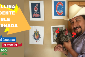 'Gallina vidente' partida doble