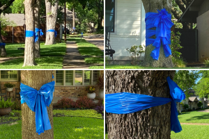 listones-vecindario-coyote