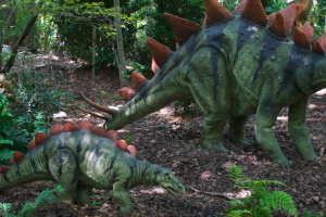 dino4.png