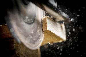 Carpenter with Circular Saw