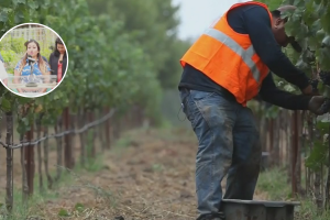 Trabajadores agrícolas