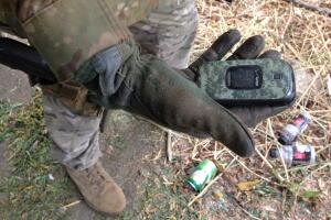 Plantíos de marihuana en Los Ángeles