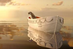 life of pi 20 fox.jpeg