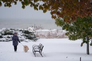 Wintry Weather Chicago
