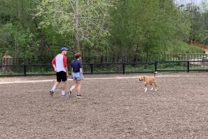 PERROS GALERIA/12-PERRO.jpg